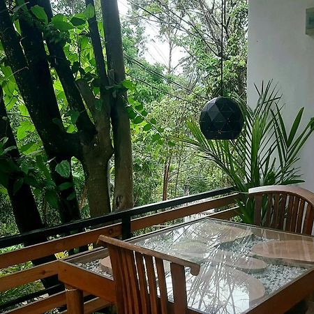 Dhanudi Homestay Ella Luaran gambar