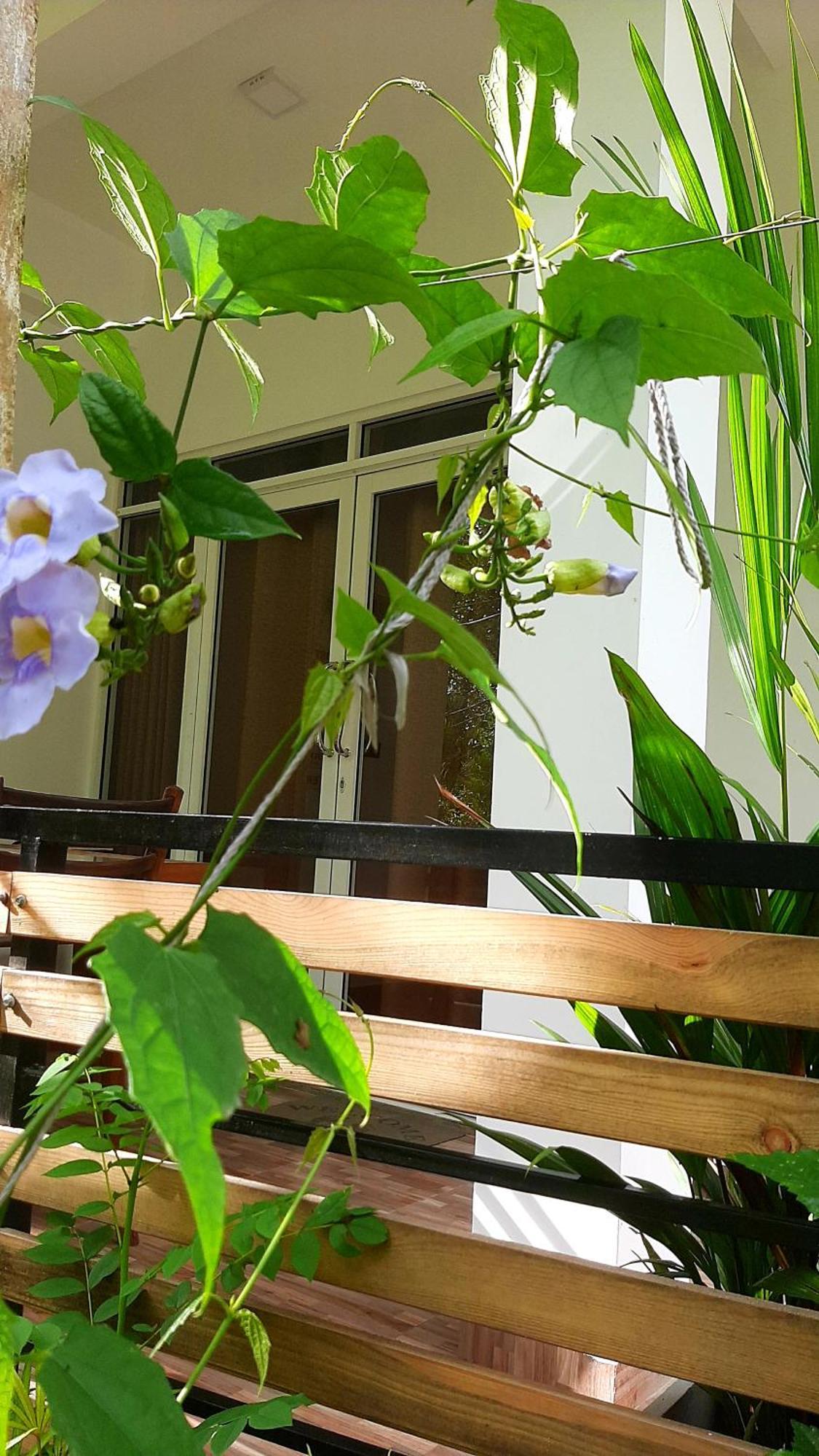 Dhanudi Homestay Ella Luaran gambar