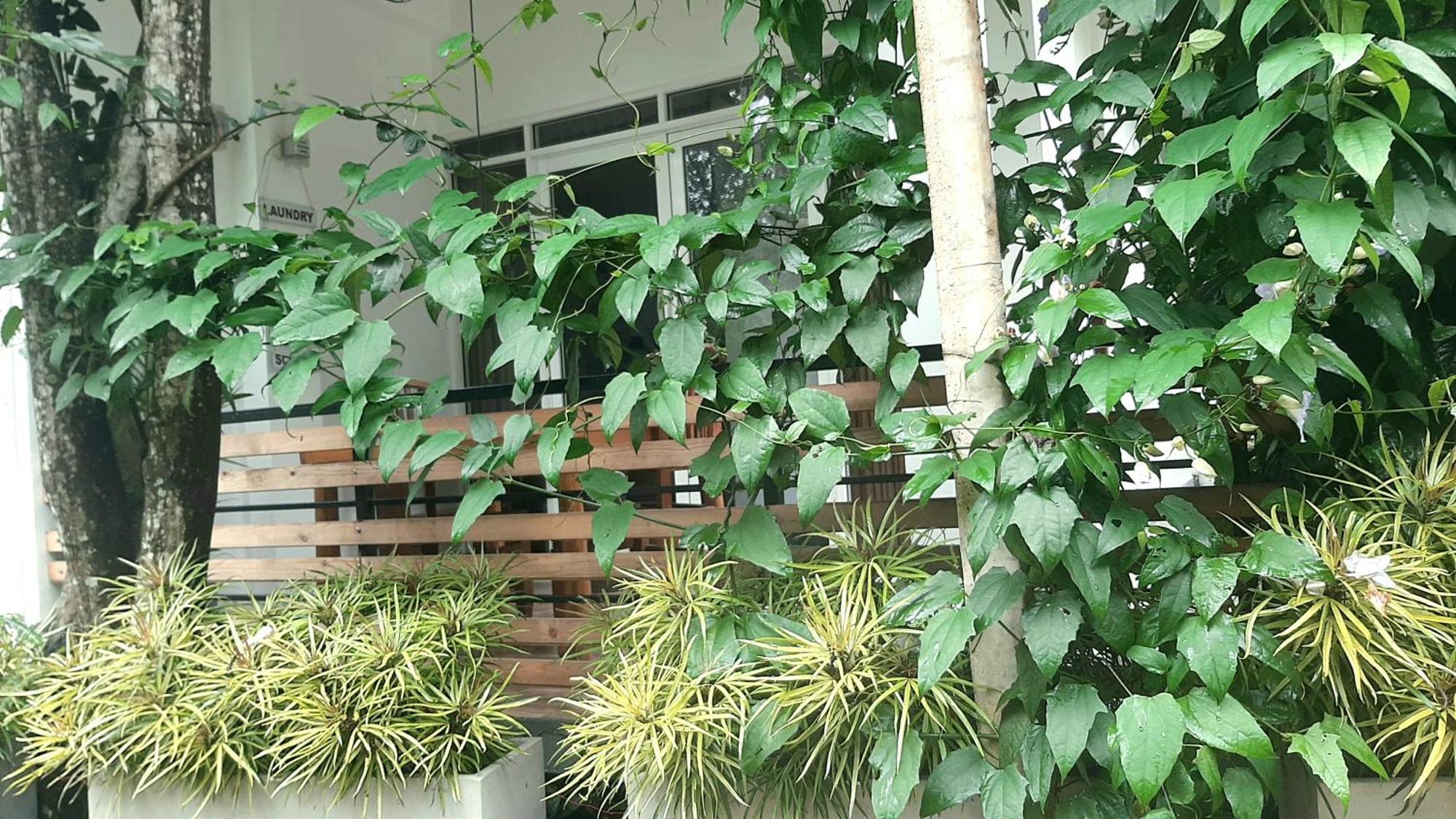 Dhanudi Homestay Ella Luaran gambar